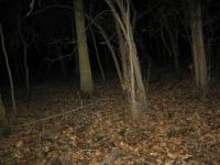 Chicago Ghost Hunters Group investigates Robinson Woods (131).JPG